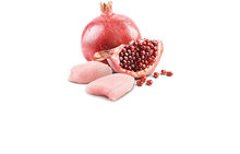 Load image into Gallery viewer, FARMINA PRIME - ADULT DOG - CHICKEN & POMEGRANATE