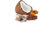 Load image into Gallery viewer, FARMINA QUINOA - ADULT DOG - SKIN & COAT - HERRING & COCONUT