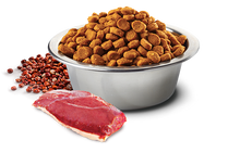 Load image into Gallery viewer, FARMINA QUINOA - ADULT DOG - SKIN & COAT - DUCK & COCONUT MINI