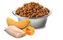 Load image into Gallery viewer, FARMINA OCEAN - PUPPY - COD, PUMPKIN & CANTALOUPE MELON