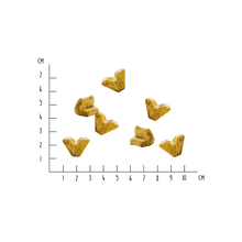 Load image into Gallery viewer, VEGDOG - IMMUNE