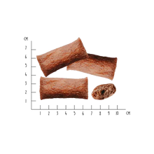 Load image into Gallery viewer, VEGDOG - DENTALS