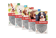 Load image into Gallery viewer, ADVANTIX FOR DOG