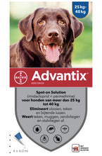 Load image into Gallery viewer, ADVANTIX FOR DOG