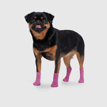 Load image into Gallery viewer, CANADA POOCH - THE BASIC SOCK - PINK