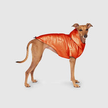 Load image into Gallery viewer, CANADA POOCH - COLD FRONT RAINCOAT - ORANGE