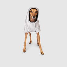 Load image into Gallery viewer, CANADA POOCH - COLD FRONT RAINCOAT - SILVER