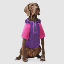 Load image into Gallery viewer, CANADA POOCH - COOL FACTOR HOODIE - PINK/PURPLE