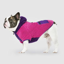 Load image into Gallery viewer, CANADA POOCH - COOL FACTOR HOODIE - PINK/PURPLE