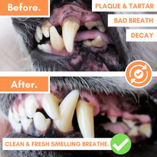 Load image into Gallery viewer, DOGSLIFE - DENTAL WIPES