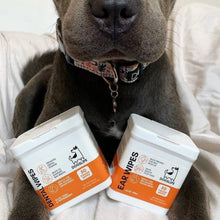 Load image into Gallery viewer, DOGSLIFE - DENTAL WIPES
