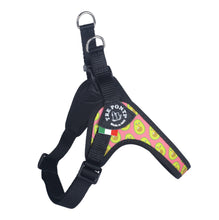 Load image into Gallery viewer, TRE PONTI FIBBIA VIBES ADJUSTABLE HARNESS - AVOCADO