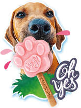 Load image into Gallery viewer, SMOOFL - MOULD - DIFFERENT SIZES