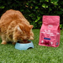 Load image into Gallery viewer, IMBY FOR CAT