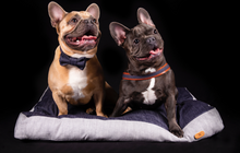 Load image into Gallery viewer, THE DENIM DOG - INDIGO DREAMS BED