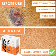 Load image into Gallery viewer, DOGSLIFE - ITCH RELIEF SKIN BALM