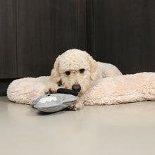 Load image into Gallery viewer, D&D HOME COLLECTION - KIKI KOALA