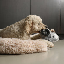 Load image into Gallery viewer, D&D HOME COLLECTION - KIKI KOALA