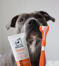 Load image into Gallery viewer, DOGSLIFE - DENTAL KIT