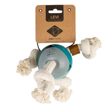 Load image into Gallery viewer, D&D HOME COLLECTION - LEVI