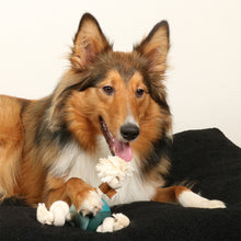 Load image into Gallery viewer, D&D HOME COLLECTION - LEVI