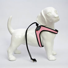 Load image into Gallery viewer, TRE PONTI - LIBERTA' BASIC HARNESS - PINK
