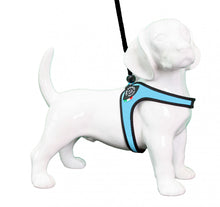 Load image into Gallery viewer, TRE PONTI - LIBERTA' BASIC HARNESS - BLUE