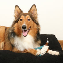 Load image into Gallery viewer, D&D HOME COLLECTION - MILAN