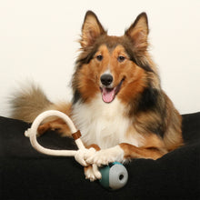 Load image into Gallery viewer, D&D HOME COLLECTION - NORA