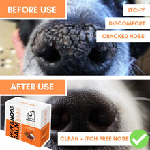 Load image into Gallery viewer, DOGSLIFE - PAW & NOSE BALM