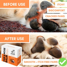 Load image into Gallery viewer, DOGSLIFE - PAW & NOSE BALM