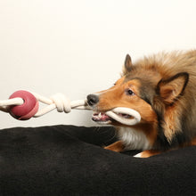 Load image into Gallery viewer, D&D HOME COLLECTION - YARA