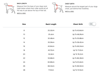 Load image into Gallery viewer, CANADA POOCH - COOL FACTOR HOODIE - PINK/PURPLE