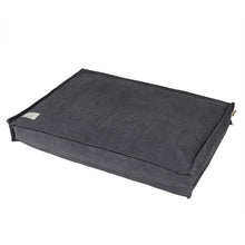 Load image into Gallery viewer, D&D - STEVE