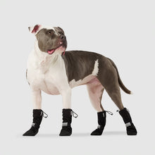Load image into Gallery viewer, CANADA POOCH - SOFT SHIELD BOOTS - BLACK