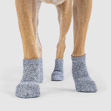 Load image into Gallery viewer, CANADA POOCH - THE BASIC SOCK - GREY
