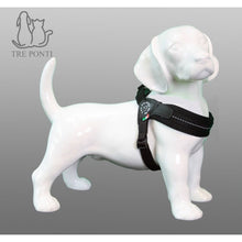 Load image into Gallery viewer, TRE PONTI SOFT MESH ADJUSTABLE HARNESS - BLACK