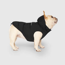 Load image into Gallery viewer, CANADA POOCH - WATERPROOF PUFFER - BLACK