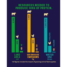 Load image into Gallery viewer, YORA - INSECT POWER PROTEIN BAR