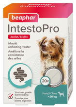 Load image into Gallery viewer, BEPHAR - INTESTOPRO