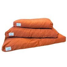 Load image into Gallery viewer, D&D - ELLIS ORANGE