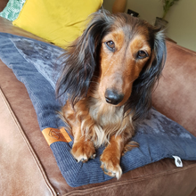 Load image into Gallery viewer, COMFY PLAID DAVY CORDUROY GREY