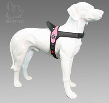 Load image into Gallery viewer, TRE PONTI - PRIMO HARNESS PINK