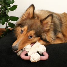 Load image into Gallery viewer, D&D HOME COLLECTION - MILOU