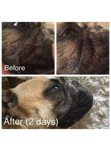 Load image into Gallery viewer, NATURAL DOG COMPANY - WRINKLE BALM