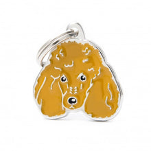Load image into Gallery viewer, MY FAMILY - APRICOT POODLE