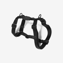 Load image into Gallery viewer, ZEE.DOG - GOTHAM H-HARNESS