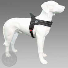 Load image into Gallery viewer, TRE PONTI - PRIMO PLUS REFLECTIVE HARNESS BLACK