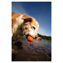 Load image into Gallery viewer, CHUCKIT