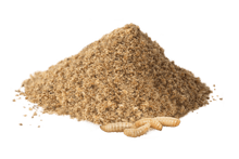 Load image into Gallery viewer, YORA - INSECT PROTEIN SENIOR/LIGHT